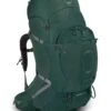Osprey Aether Plus 85 Fjellsekk Herre -Osprey || Icebreaker || Patagonia Butikk Aether Plus85 S21 Side Axo Green web