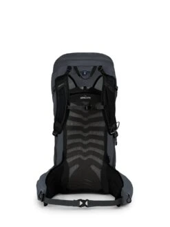 Osprey Talon 36 Dagstursekk Herre -Osprey || Icebreaker || Patagonia Butikk Talon 36 S21 Back Eclipse Grey web