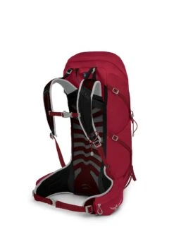 Osprey Talon 36 Dagstursekk Herre -Osprey || Icebreaker || Patagonia Butikk Talon 36 S21 SideBack Cosmic Red web