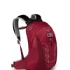 Osprey Talon 11 Jr Tursekk Gutt -Osprey || Icebreaker || Patagonia Butikk Talon Jr 14 S21 Side Cosmic Red web